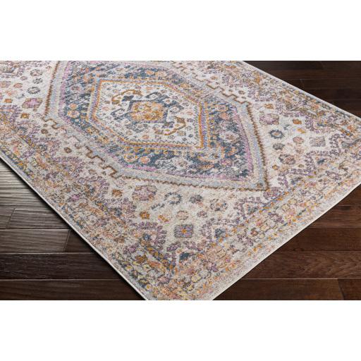 Surya New Mexico NWM-2345 2' x 3' Rug