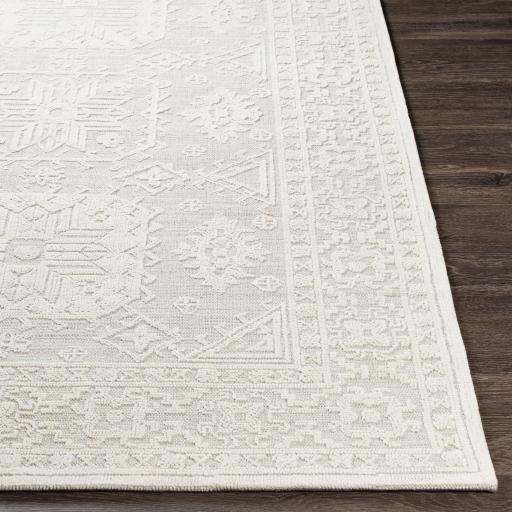 Surya Oakland OAA-1013 Cream Light Beige 2' x 3' Rug