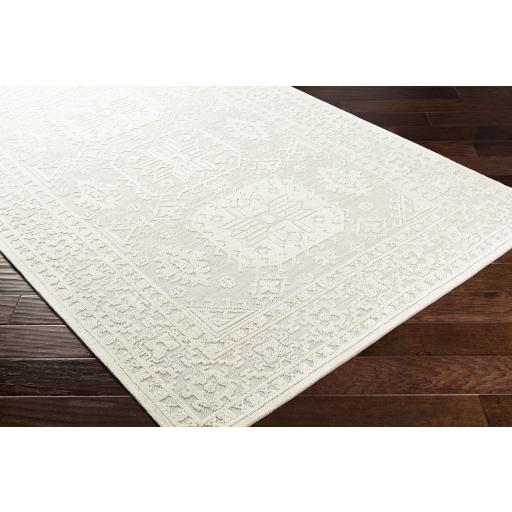 Surya Oakland OAA-1013 Cream Light Beige 2' x 3' Rug