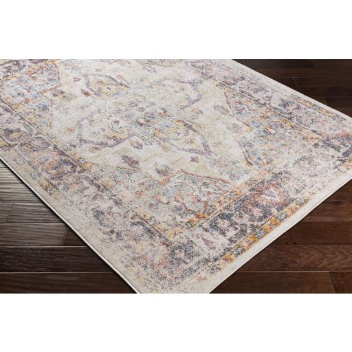 Surya New Mexico NWM-2358 2' x 3' Rug