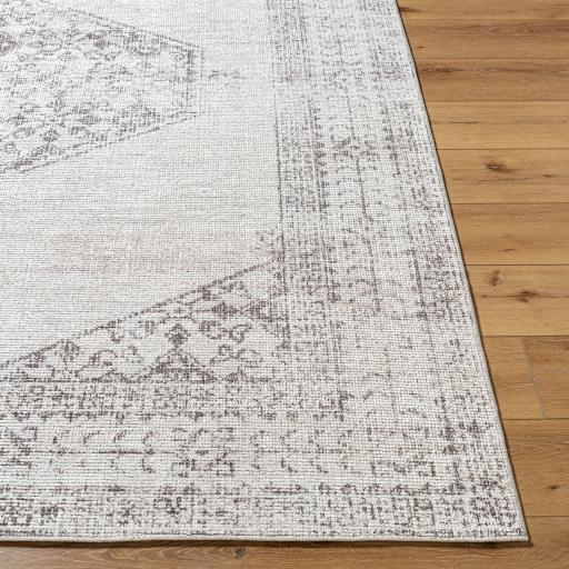 Surya Olympic PNWOL-2300 Brown Cream 10' x 14' Rug