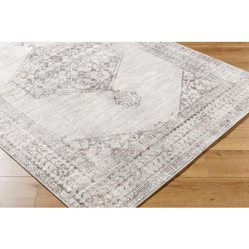 Surya Olympic PNWOL-2300 Brown Cream 10' x 14' Rug