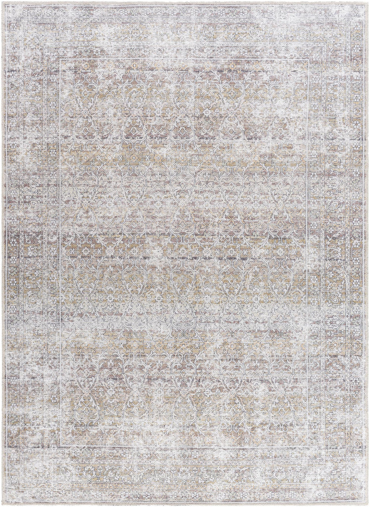 Surya Rainier PNWRN-2303 Brown Camel 10' x 14' Rug