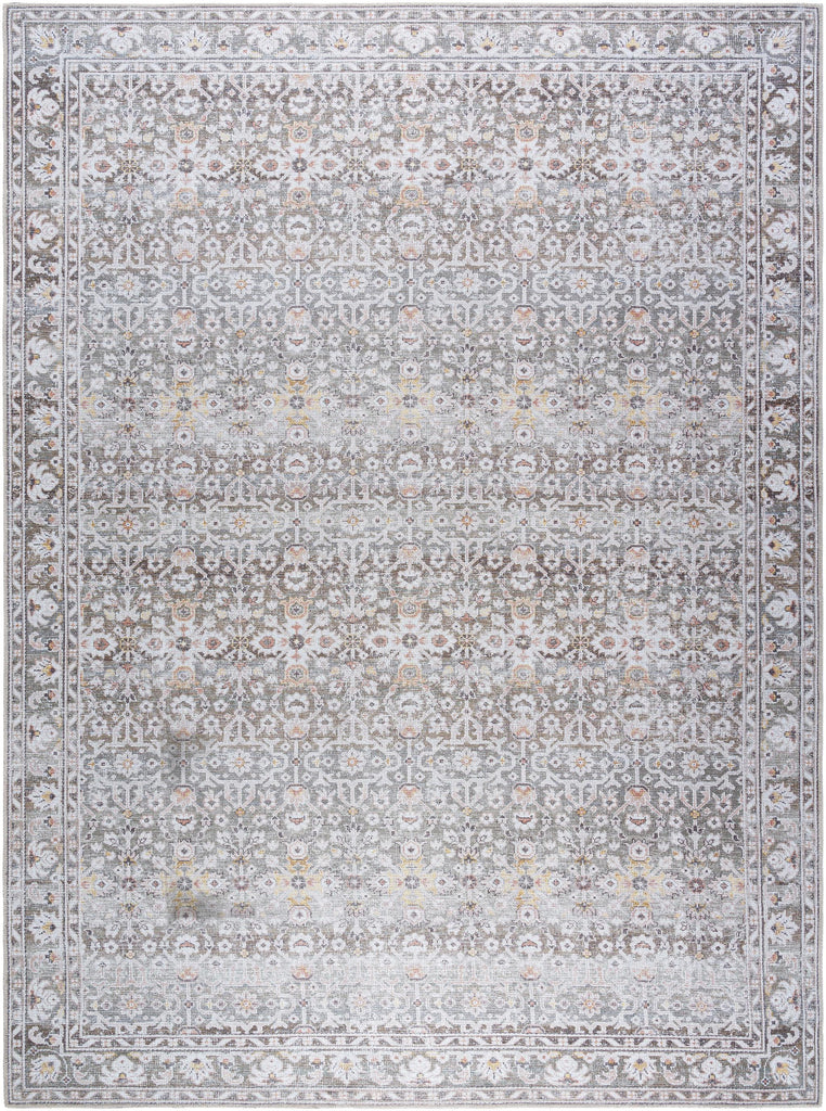 Surya Rainier PNWRN-2301 Brown Cream 10' x 14' Rug