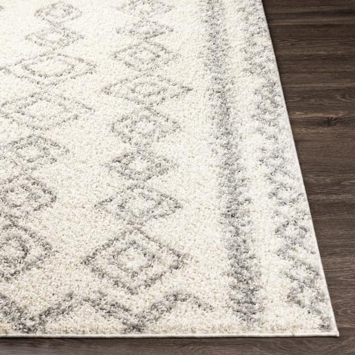 Surya Taza Shag TZS-2320 5'2" x 7' Rug