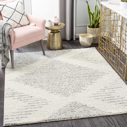 Surya Taza Shag TZS-2331 Cream Gray 5'2" x 7' Rug