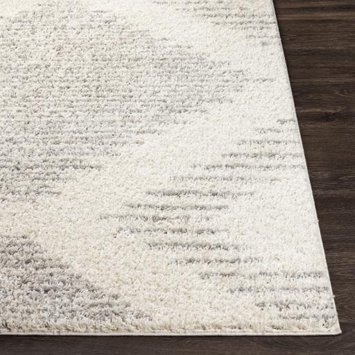 Surya Taza Shag TZS-2331 Cream Gray 5'2" x 7' Rug