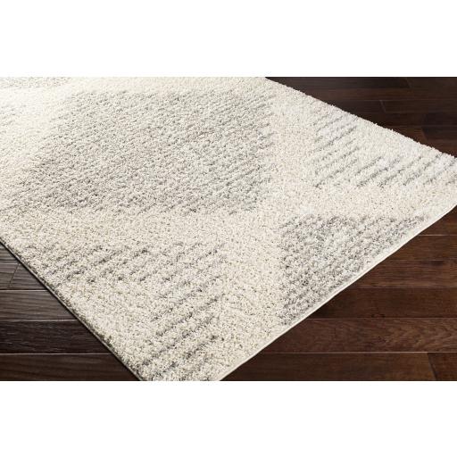 Surya Taza Shag TZS-2331 Cream Gray 5'2" x 7' Rug