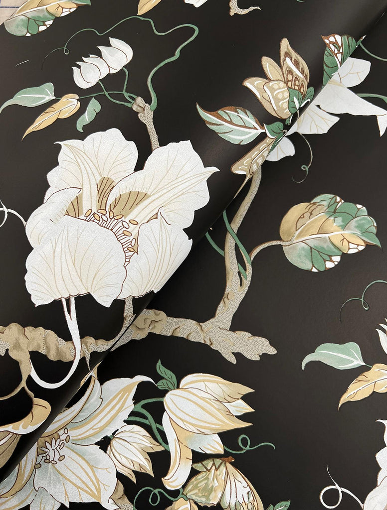 Ronald Redding Designs Marguerite Vine Black Wallpaper