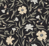 Rifle Paper Co. Aster Black Wallpaper