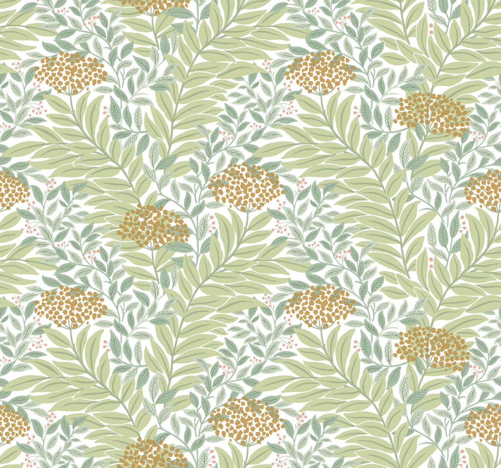 Rifle Paper Co. Highgrove Green Wallpaper