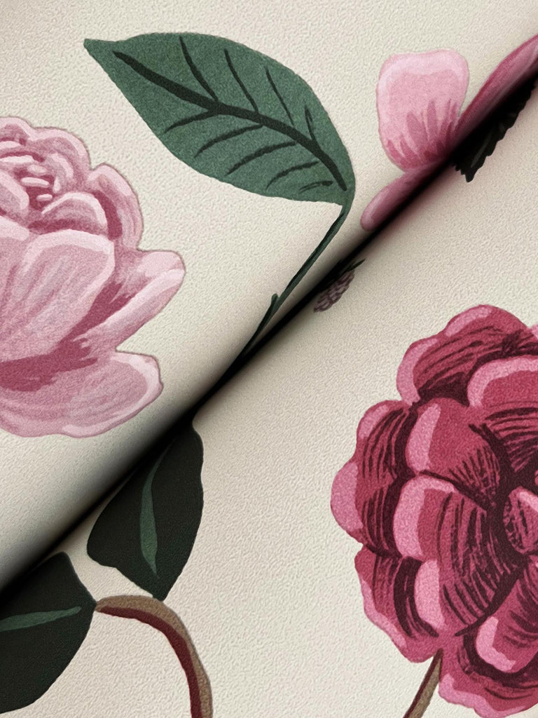 Rifle Paper Co. Roses Pink Wallpaper