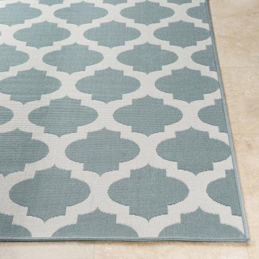 Surya Alfresco ALF-9664 Pale Blue White 2'5" x 4'5" Rug