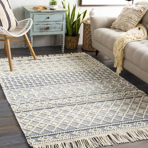 Surya Farmhouse Tassels FTS-2304 Blue White 6' x 9' Rug