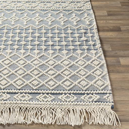 Surya Farmhouse Tassels FTS-2304 Blue White 6' x 9' Rug