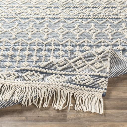 Surya Farmhouse Tassels FTS-2304 Blue White 6' x 9' Rug