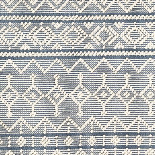 Surya Farmhouse Tassels FTS-2304 Blue White 6' x 9' Rug