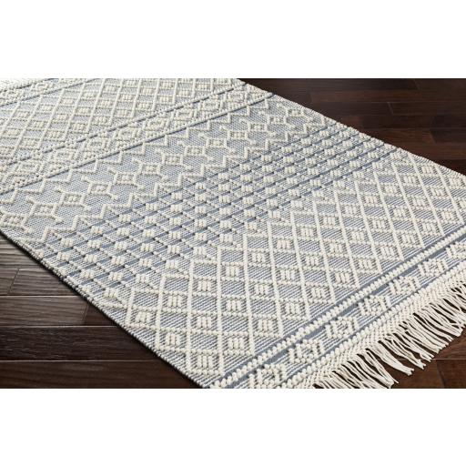 Surya Farmhouse Tassels FTS-2304 Blue White 6' x 9' Rug