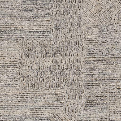 Surya Rosario ROA-2300 Charcoal Light Beige 2' x 3' Rug