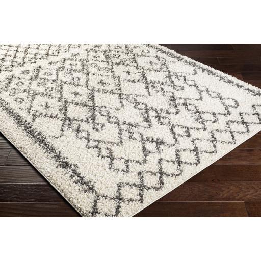 Surya Taza Shag TZS-2301 Charcoal Cream 7'10" x 10' Rug