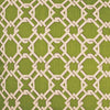 D.V. Kap Home Keenland Green Fabric