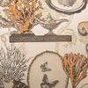 D.V. Kap Home Coral Shelf Beach Fabric