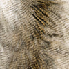 D.V. Kap Home Alaskan Hawk Glam, Faux Fur Fabric