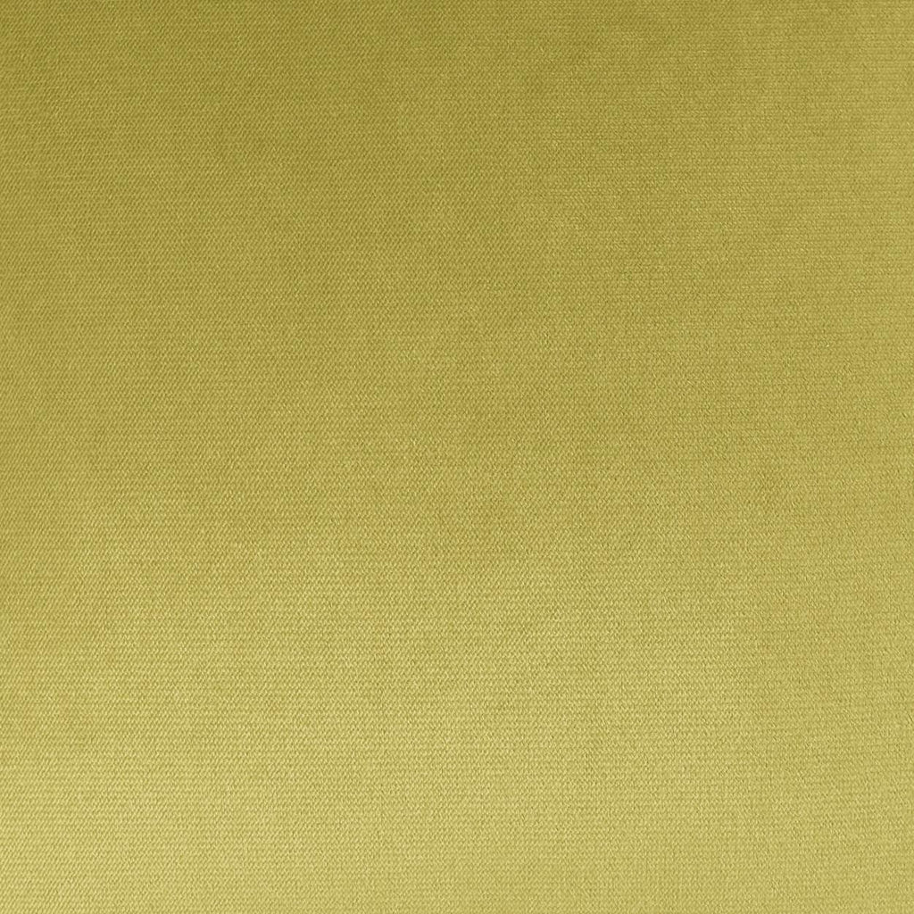 D.V. Kap Home Belvedere Lime  Fabric