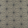 D.V. Kap Home Crosby Graphite Fabric