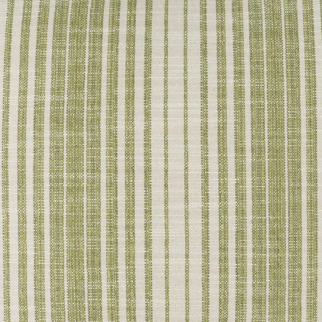 D.V. Kap Home Summerville Green  Fabric