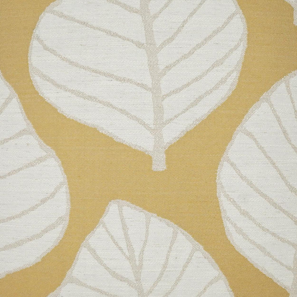 D.V. Kap Home Mamie Citron  Fabric