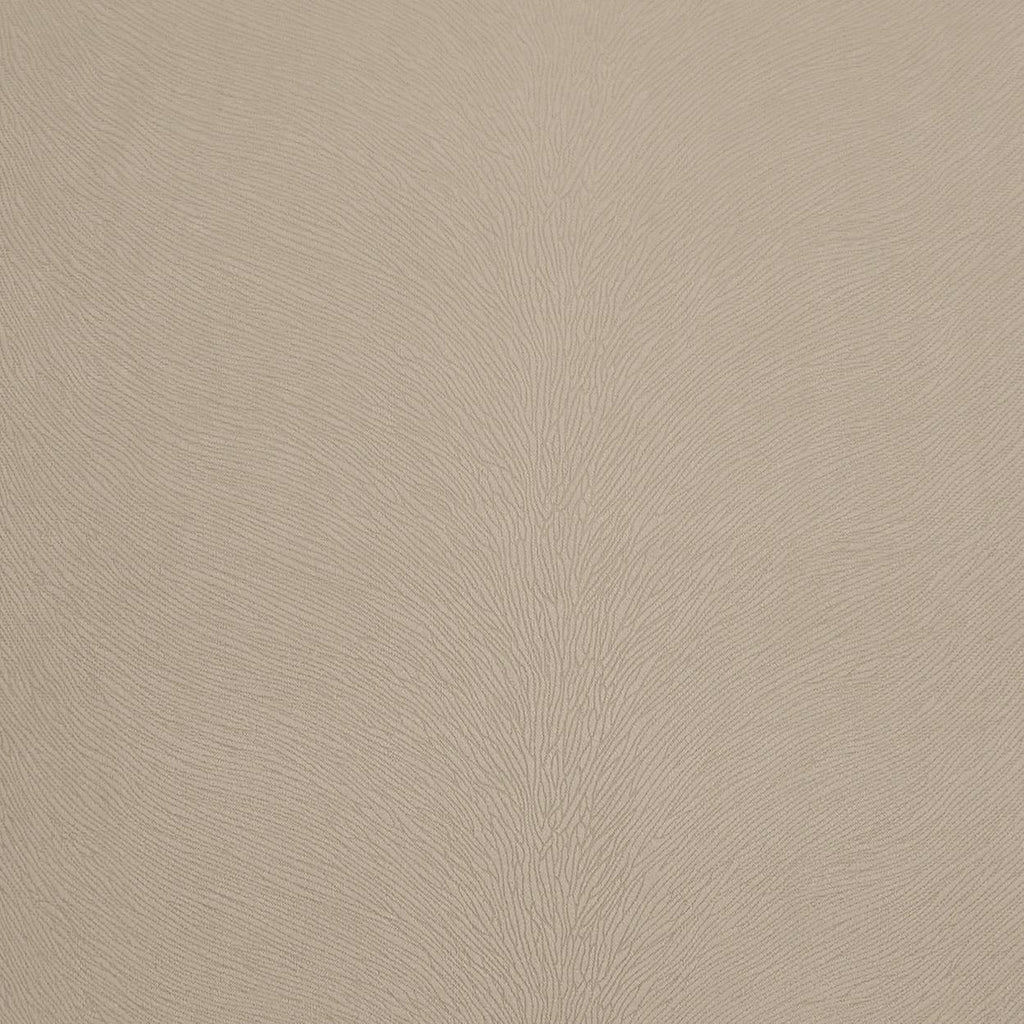 D.V. Kap Home Venture Ivory  Fabric