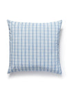 Scalamandre Check Please Outdoor 22 X 22 - Fountain Pillow