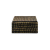 Worlds Away Small Brass Aluminum Box With Reptile Texture