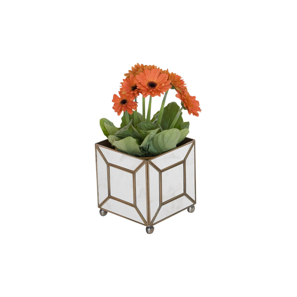 Worlds Away ANT MIR CLASSIC PLANTER