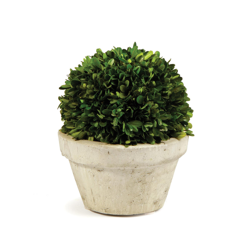 Napa Green/Tan Boxwood Ball In Pot Large