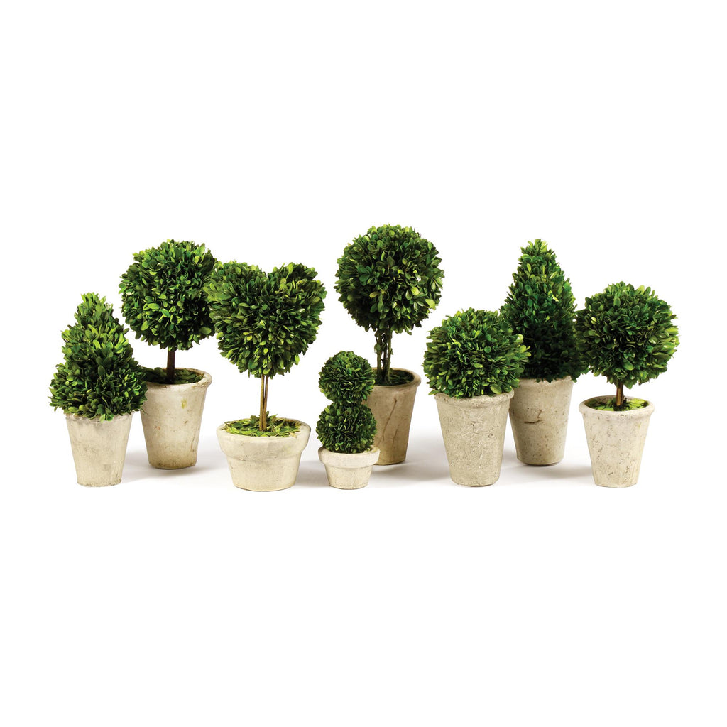 Napa Green/Tan Boxwood Topiaries In Pots, Set Of 8