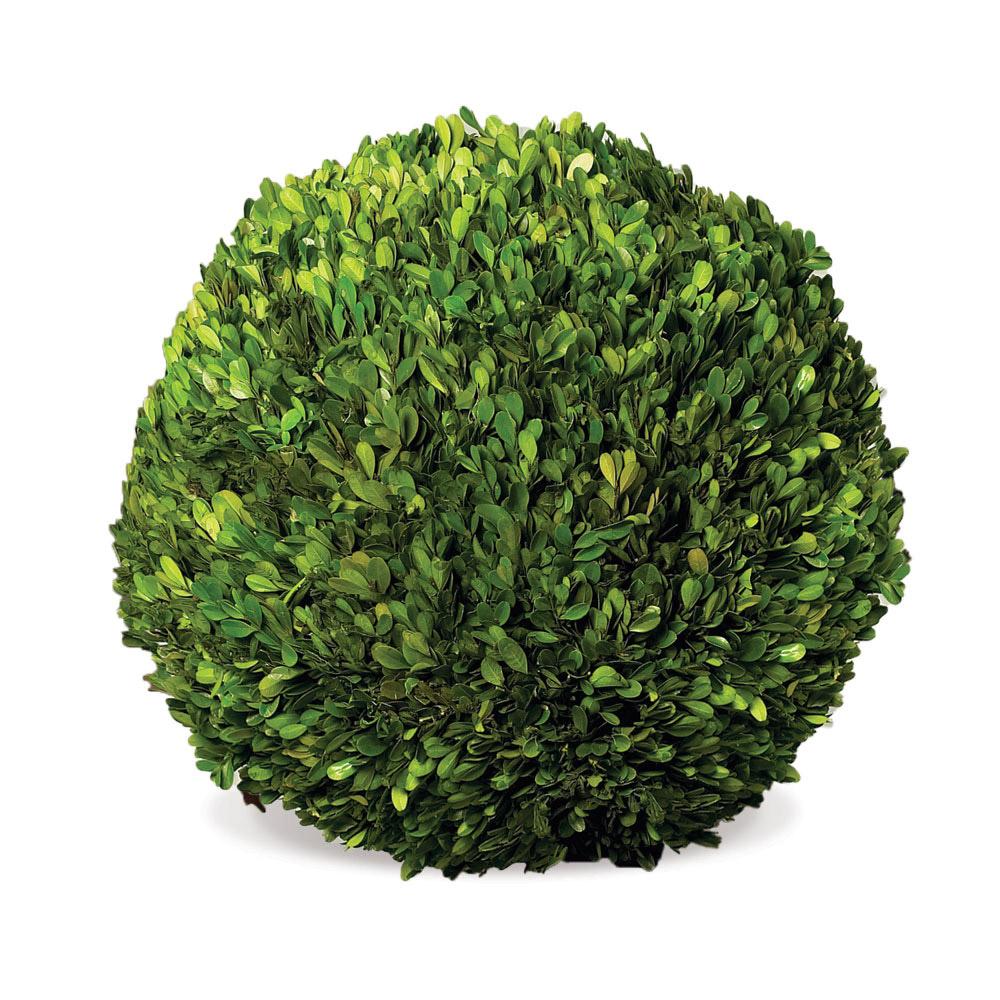 Napa Green Boxwood Ball 16"