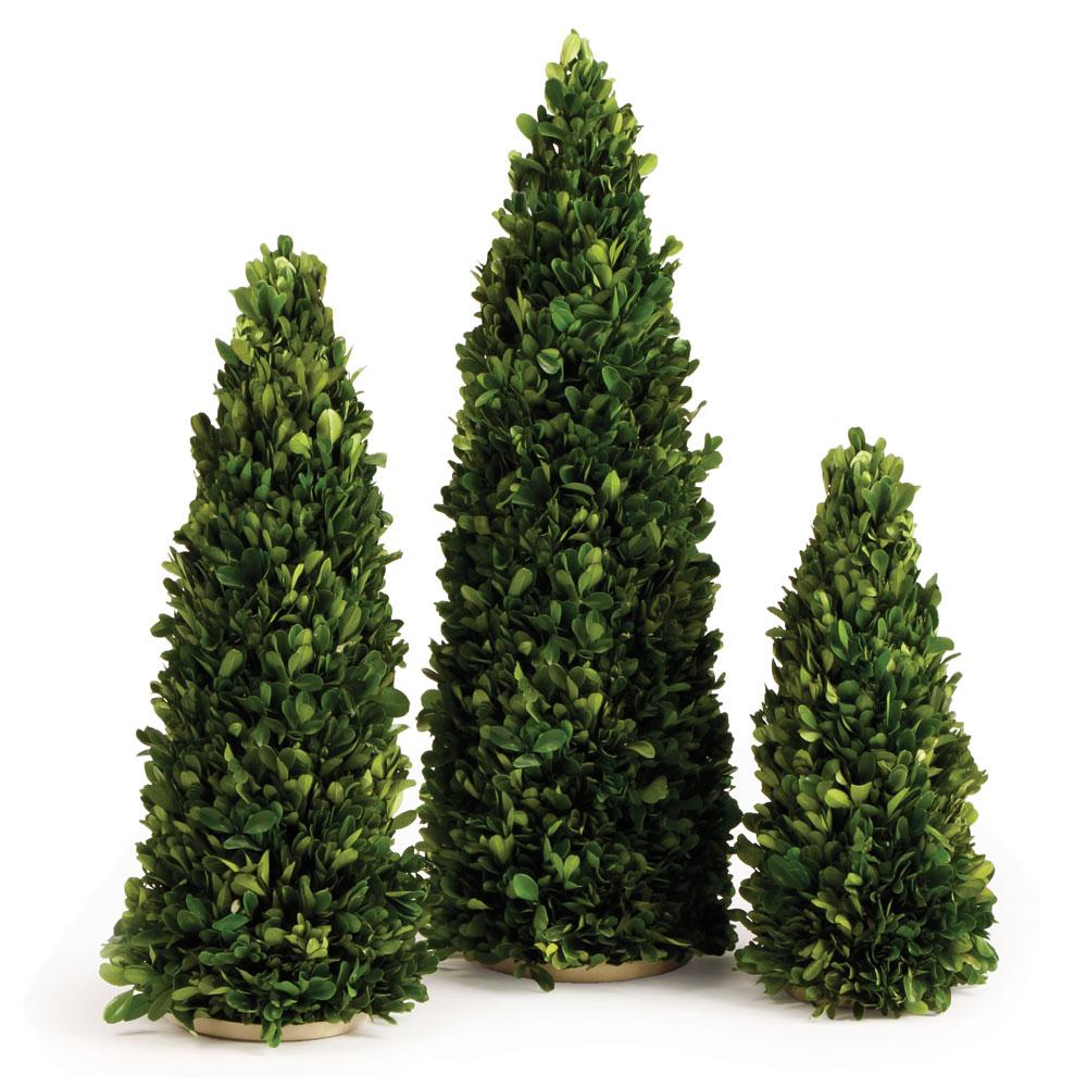 Napa Green Boxwood Mini Trees, Set Of 3