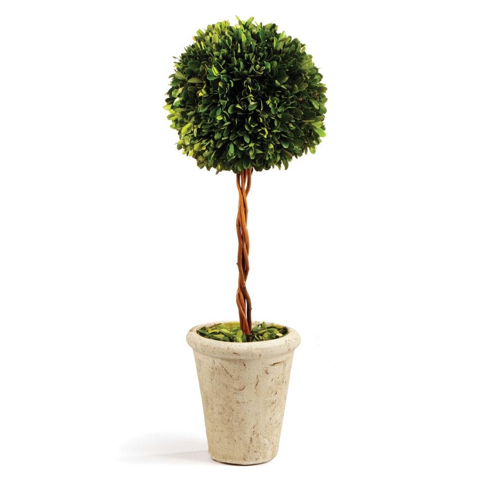 Napa Green Boxwood Single Sphere Topiary 18.5"