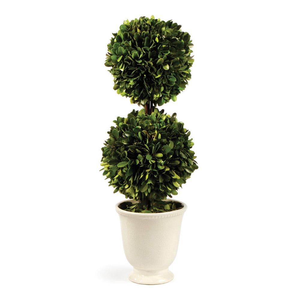 Napa Green Boxwood Double Ball Topiary In Beaded White Pot