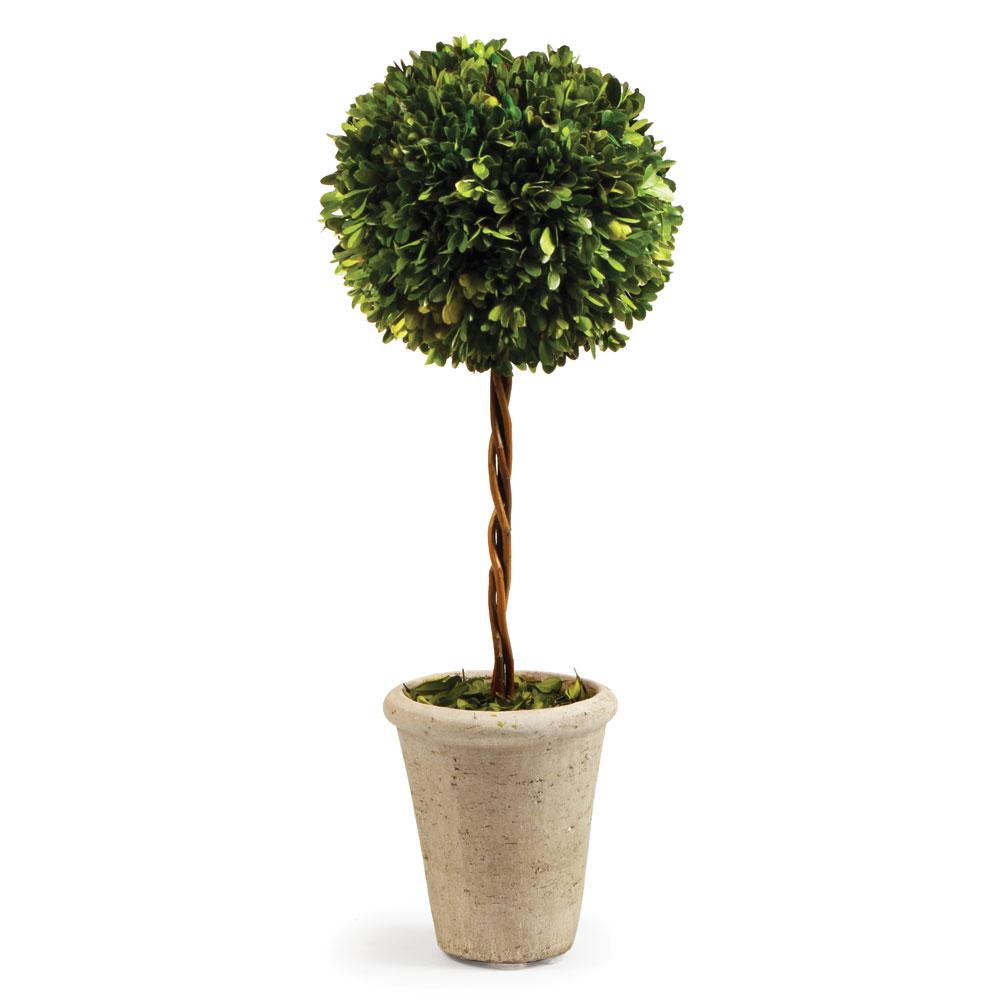 Napa Green Boxwood Single Sphere Topiary 23.25"