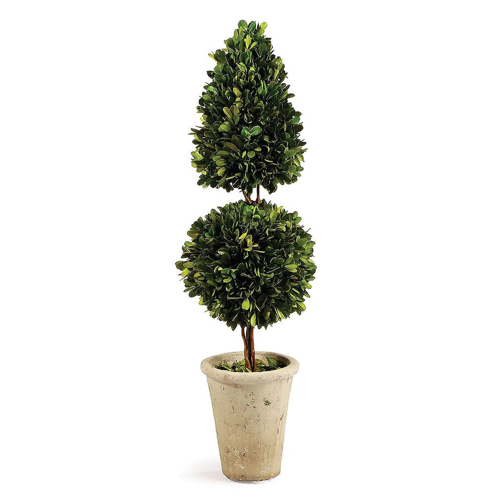 Napa Green Boxwood Cone & Ball Topiary 25"