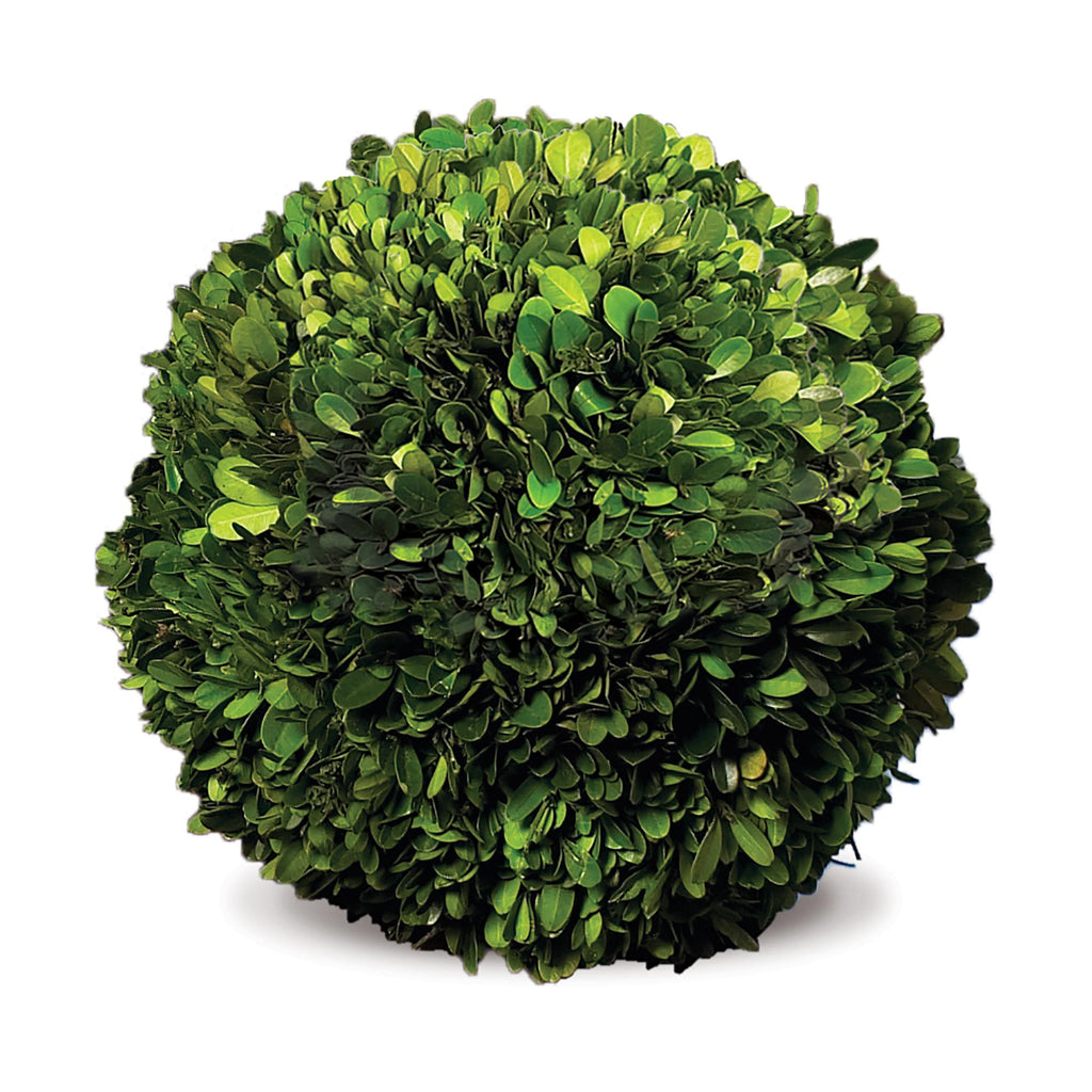 Napa Green Boxwood Ball 12"