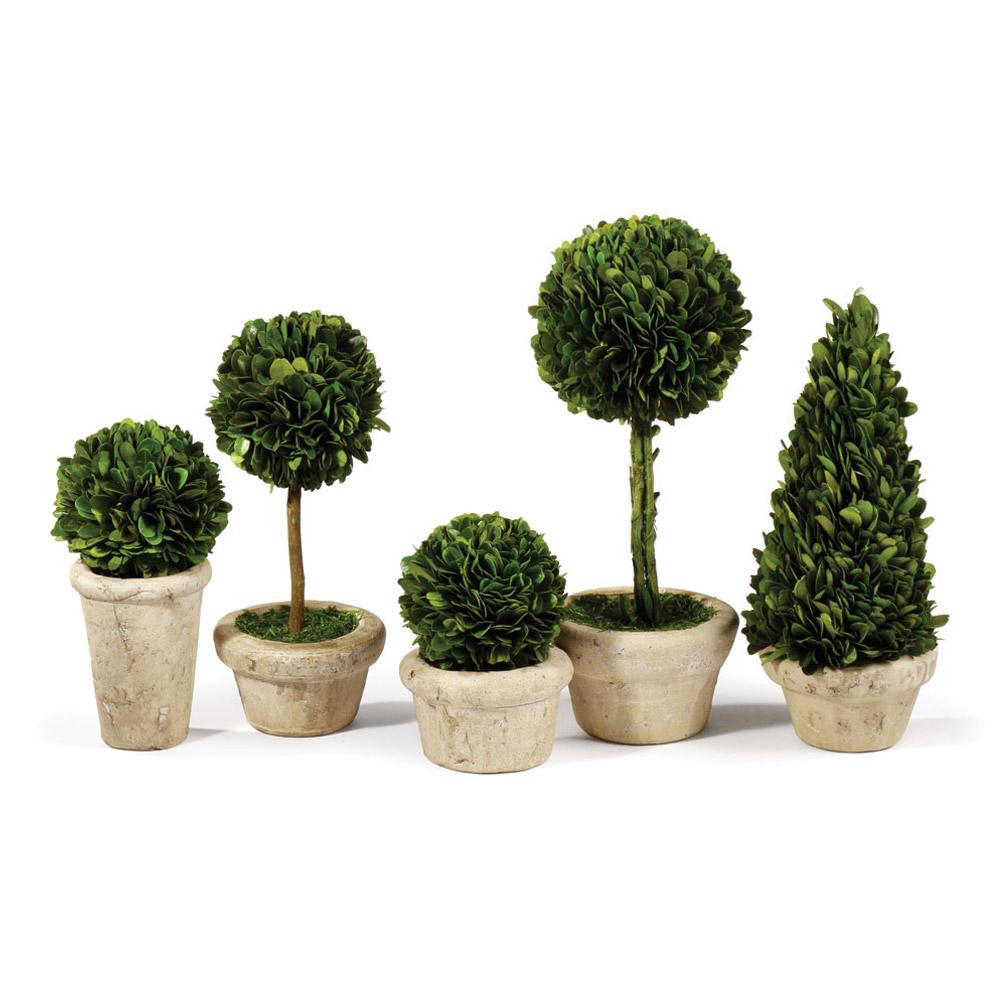 Napa Green Boxwood Topiaries In Pots, Set Of 5