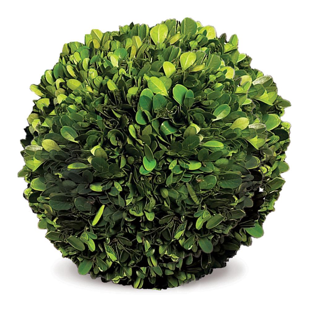 Napa Green Boxwood Ball 8"