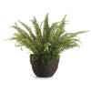 Napa Green Grand Boston Fern Drop-In 30