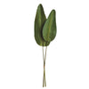 Napa Green Strelitzia Leaf 63