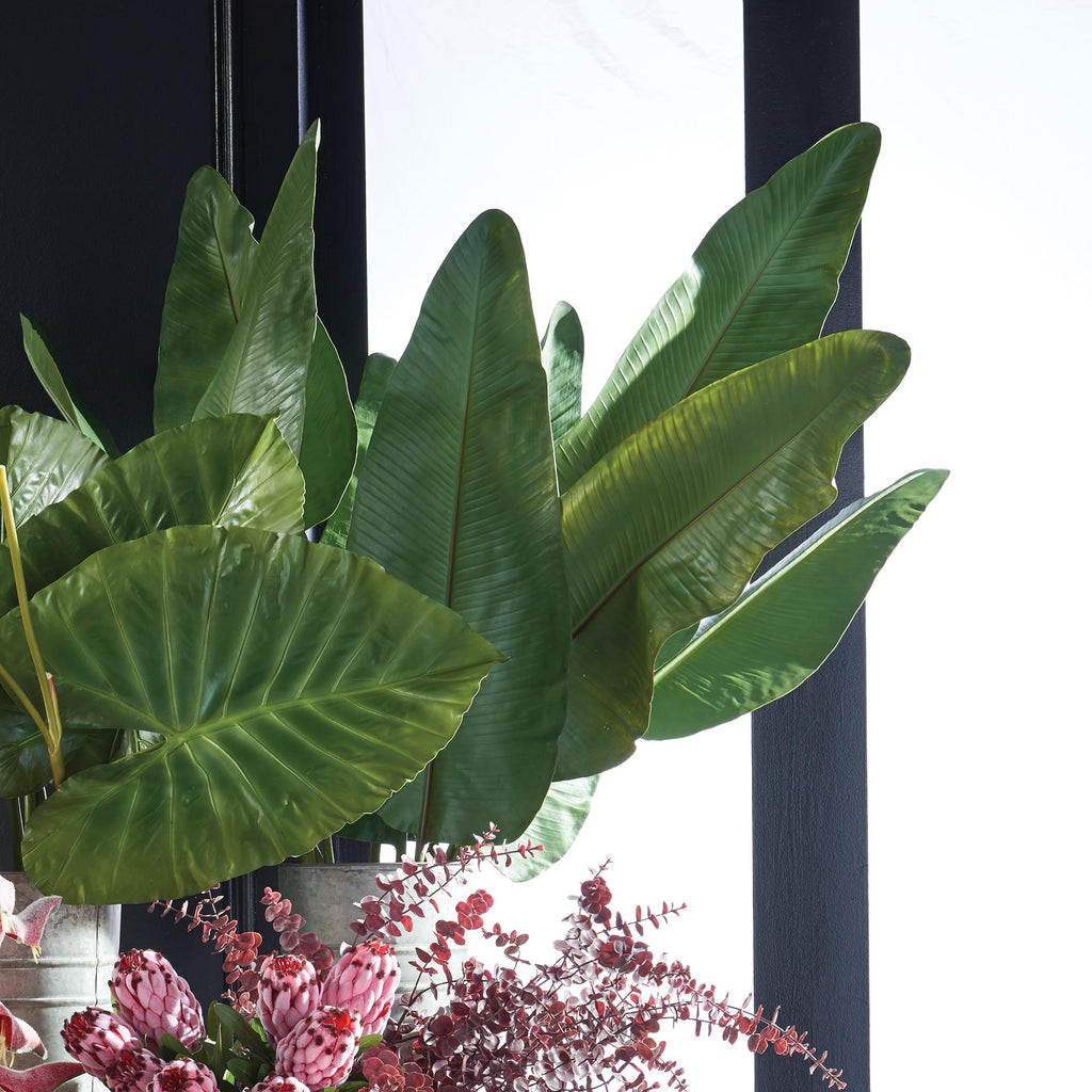 Napa Green Strelitzia Leaf 63", Bundle Of 2