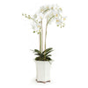 Napa White Barclay Butera Phalaenopsis In Ceramic Pot 36